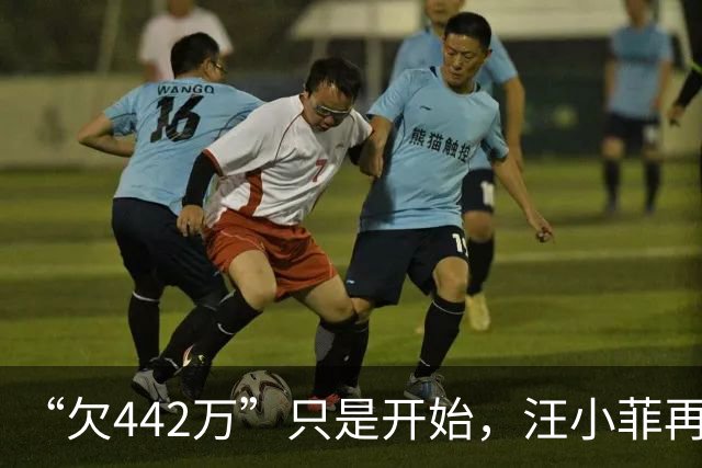 “欠442万”只是开始，汪小菲再迎2大重锤，张兰担心的事发生