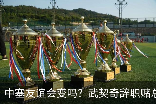 中塞友谊会变吗？武契奇辞职赌总理败选，新领导对华态度模棱两可