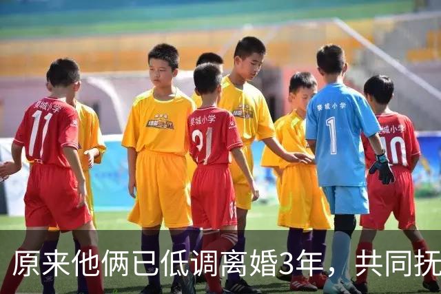 原来他俩已低调离婚3年，共同抚养一儿一女，孩子一个比一个争气