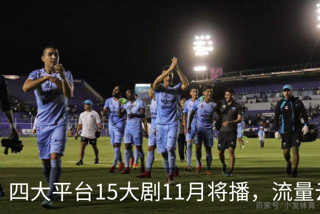 四大平台15大剧11月将播，流量云集，哪部有爆款潜力？