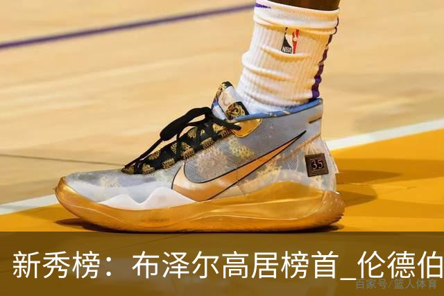 新秀榜：布泽尔高居榜首 伦德伯格、威尔逊分列二三