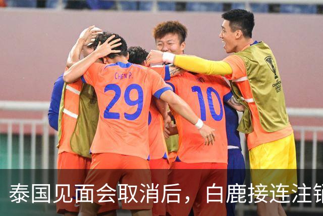 泰国见面会取消后，白鹿接连注销名下三家公司，网友：果然有猫腻