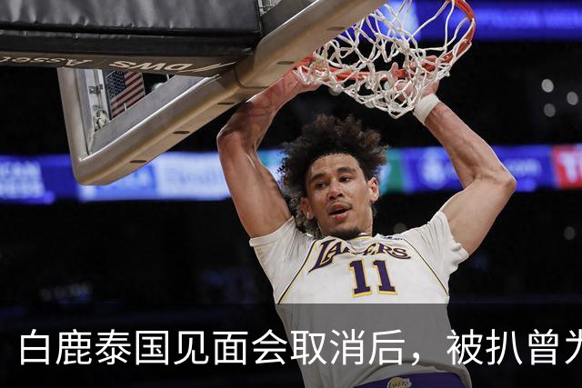 白鹿泰国见面会取消后，被扒曾为缅北拍宣传片，知情人爆更多内幕