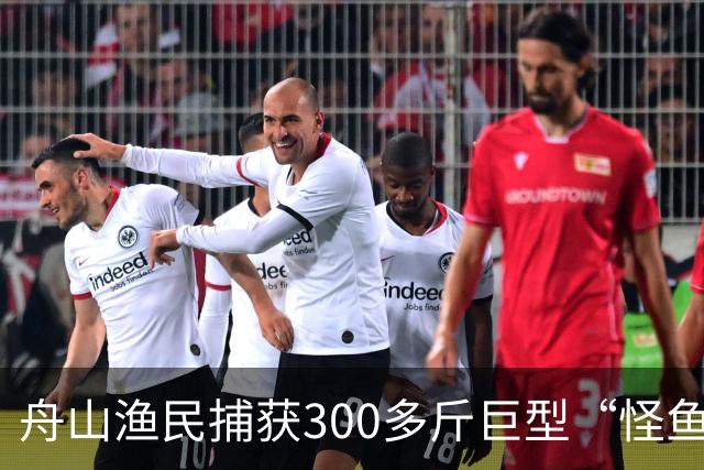 舟山渔民捕获300多斤巨型“怪鱼”，已放归大海，经辨认系翻车鱼，是已知世界上生殖力最强的脊椎动物；网友：以为是一块大石头