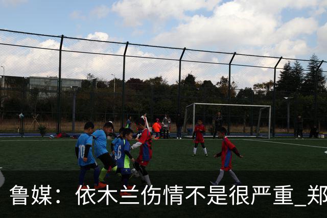 鲁媒：依木兰伤情不是很严重 郑铮的未来要等手术后才能有结果
